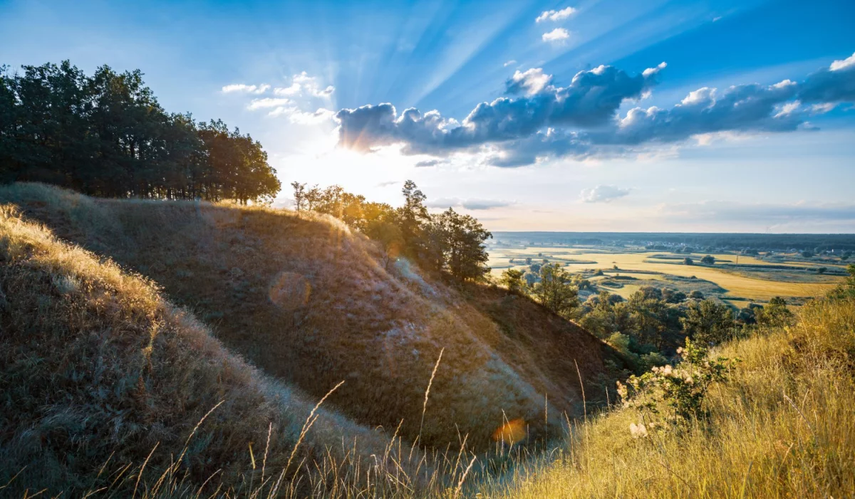Nowe fakty - Dowiedz się jak raportować w standardzie vsme w tych 11 banalnych krokach