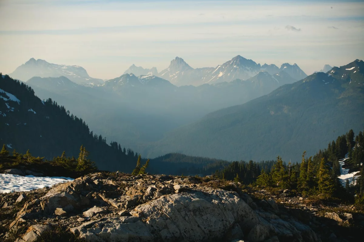 Czy można podlewać samemu?