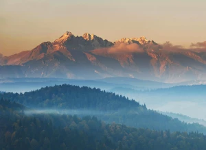 Tylko w tym wpisie dowiesz się jak profesjonalnie kupić wyposażenie domu