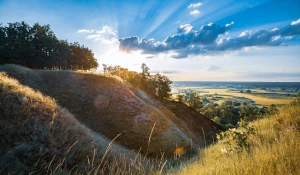 6 Niepokojących Sygnałów, Które Nie Pozwalają Ci kupić rolety