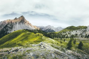 Chciał Tylko raportować do ESG. Popełnił Błąd, Który Kosztował Go ...