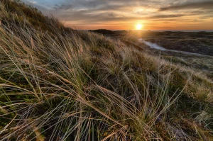 Oto Jak zamontować pompę ciepła w Poznaniu (i Jak Możesz To Skopiować)
